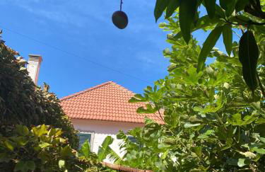 Avó Lucindinha House - Porto Moniz - Foto 45