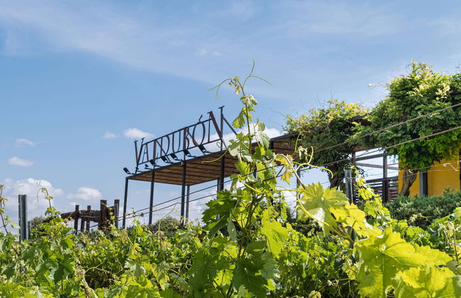 Visite des Bodegas Valdubón - Photo 1