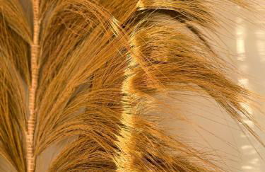 Mas Andalou Fabuleuse première ligne de mer, plage privative - Foto 2