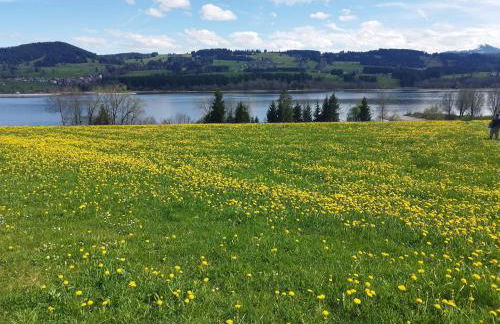 Ferienwohnung Höllisch - Foto 37