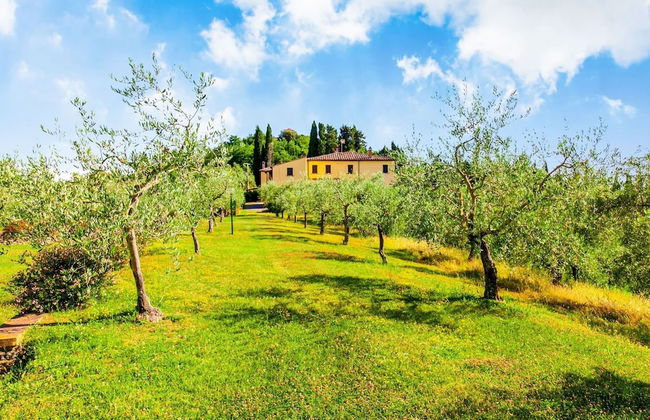 Rustic Farmhouse in Terricciola - Foto 24