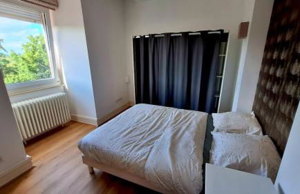 Botanical garden view in Metz - Foto 2