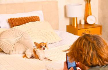 Apartamenty Paryskie Old Town View - Foto 76