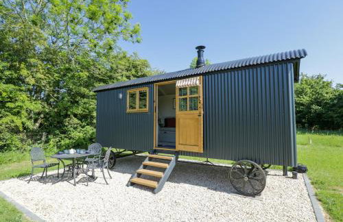 Blackthorn - Photo 1