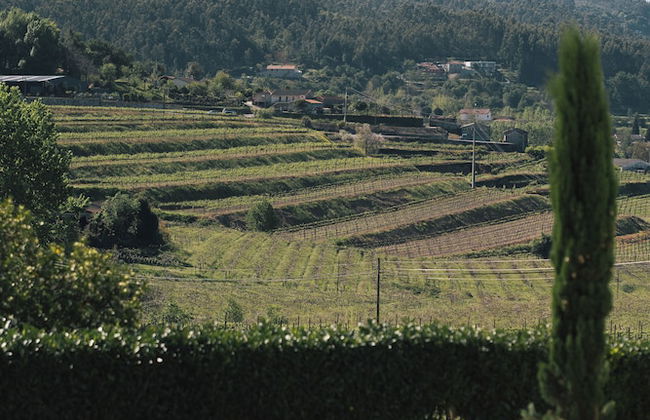 Quinta da Corredoura Hotel Rural - Photo 74