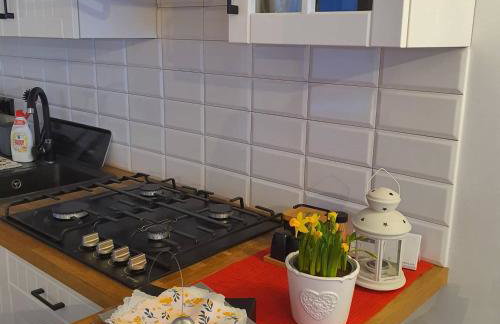 Osada Słoneczny Zdrój - Foto 66