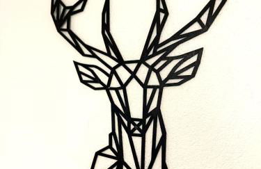 Natur-Apartment am Großen Arber Netflix WIFI - Foto 63