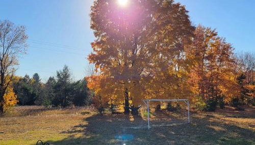 Northern Nirvana - Foto 5, Garden view