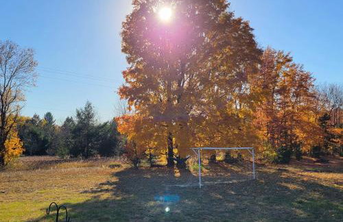 Northern Nirvana - Foto 5