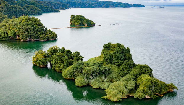 Los Haitises National Park and Cayo Levantado Trip - Photo 2