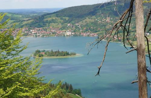 Haus-Brecherspitzblick - Foto 24