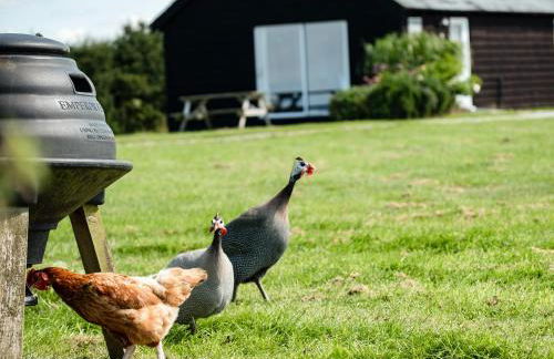 Swallow Cottage, Trewetha Farm - Photo 20