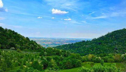 Albergo Torre - Foto 2