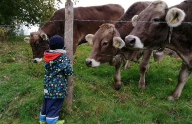 Ferienwohnung Bergblick - Foto 17