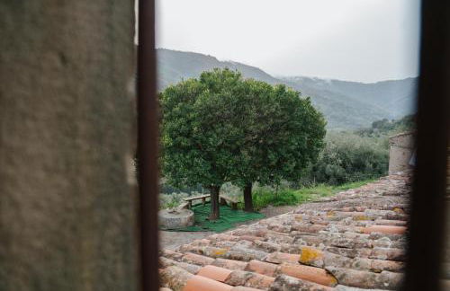 Agriturismo Marzilio - Foto 6