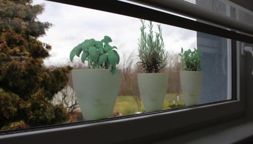 Ferienwohnung am Park - Foto 2