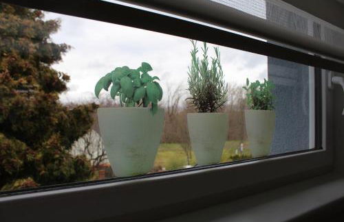 Ferienwohnung am Park - Photo 2