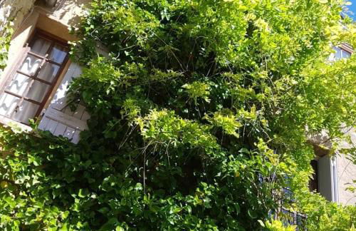 le balcon - Photo 27