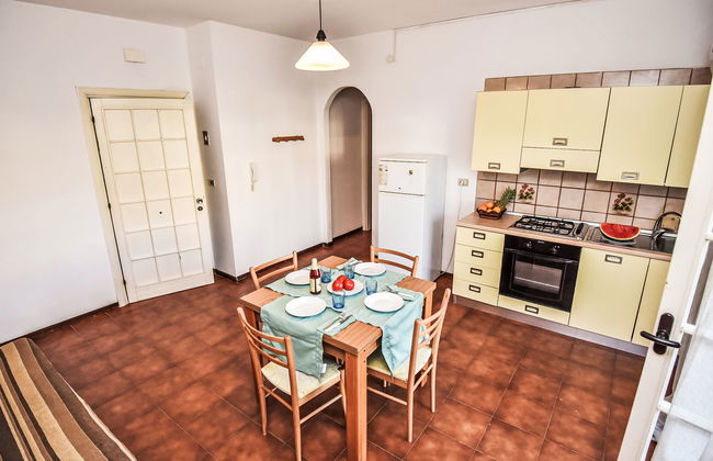 Green Marine, Palme, Ismare - Foto 6