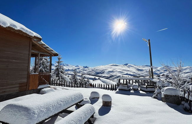 Ny Çambaşı - Foto 52