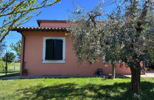 Il giardino delle rose - Foto 27