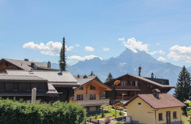 Goeland n°4 - Foto 8