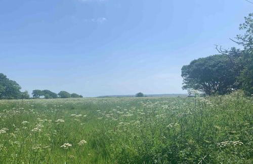 Lily s Pad - Private retreat in Lymington, New Forest - Foto 53