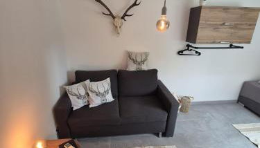 Tiny House Am Goldbach - Foto 2