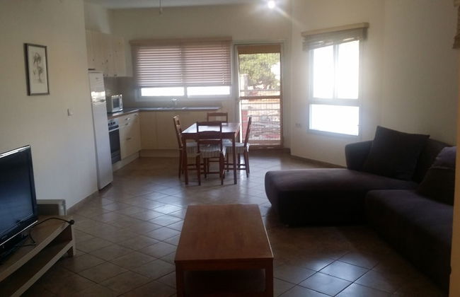 Apartamento Alvalade - Foto 9