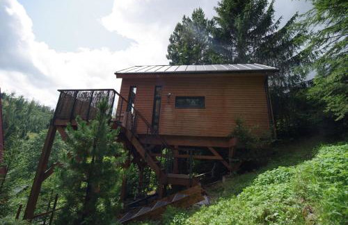 Ski House Szczyrk - Domek Na Kurzej Łapce - Foto 16