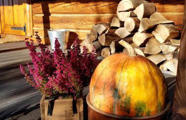 Jabłoniowy Sad Kalwaria Pacławska - Foto 42