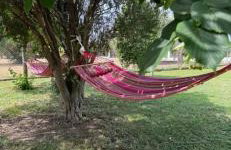 Elysian Escapes - Foto 7