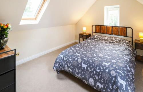 Paws In The Pines - Foto 13