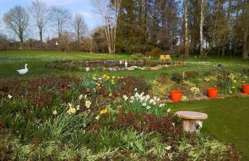 Owlhoot Annexe - Foto 24