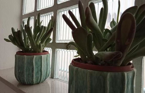 Apartment, Marina di Ravenna - Foto 25