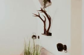 Il nido di Lele e Schina - Photo 28