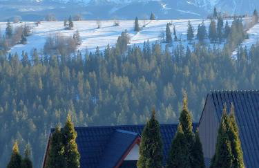 Dom Tatrzański Widok - Foto 23