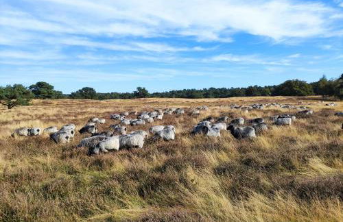 Mamat Ferienwohnungen - Foto 22