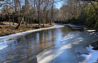 River Run Cottage Modern 2BR Waterfront Retreat in Linville Land Harbor - Foto 33