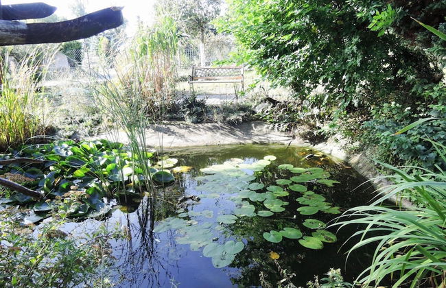 Holiday Home in Karnocicie by Szczecin Lagoon - Foto 17