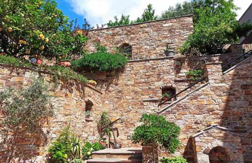 Endless Green 4 Arethousa Ikaria - Photo 25