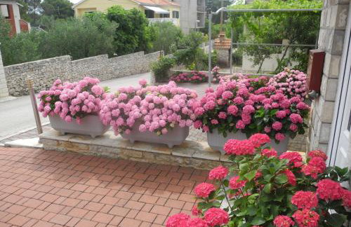 Apartments Martina - Foto 42