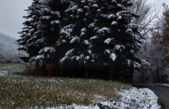 B&B La Verna - Photo 20