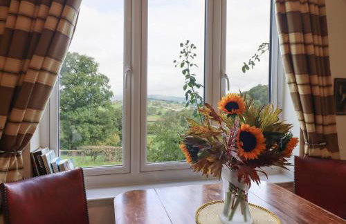 Upper Pandy Farm - Foto 6