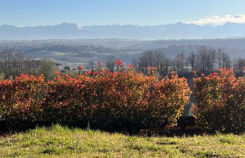 Just Langhe Casa Dolcetto - Foto 26