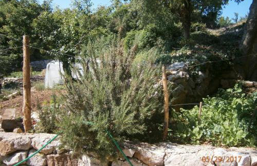 Holiday Home Loznati - Foto 43