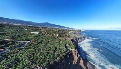 Banana Paradise - Foto 4, Garden view