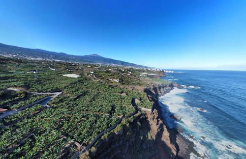 Banana Paradise - Foto 4