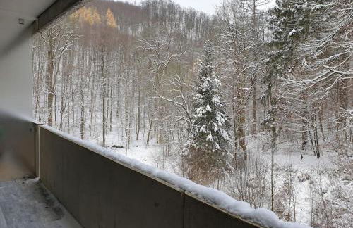 Appartement ComfortZone im Harz mit Sauna und Pool - Foto 16