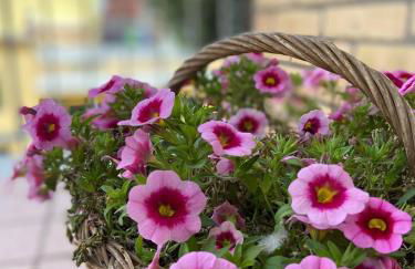 Casa Myrina - Photo 3